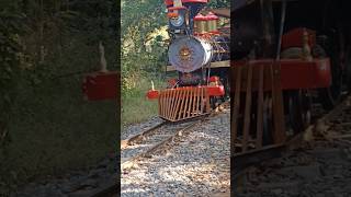 Mini train 🚂#shorts#train #viralvideo #shortsvideo