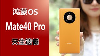 鸿蒙！天生遗憾的HUAWEI Mate 40 Pro 【影像测评】