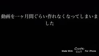 大事なご報告です