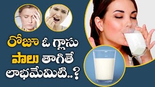 రోజూ ఓ గ్లాసు పాలు తాగితే లాభమేమిటి? | Milk Benefits for Good Health | Aarogya Sutra