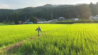 にっぽんの夏の夕暮れ。Summer sunset in Japan.