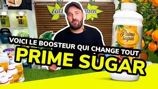 Vos Récoltes NE SERONT PLUS JAMAIS LES MÊMES grâce à Prime Sugar ! 😍