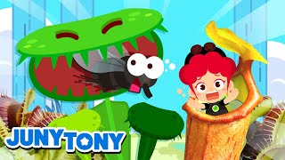 Insect-Eating Plants | Some Plants Eat Bugs! | The Monster Plants | Kids Songs & Stories | JunyTony