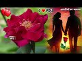 meri zindagi to sirf tum ho love shayari shayari hindi shayari romantic shayari