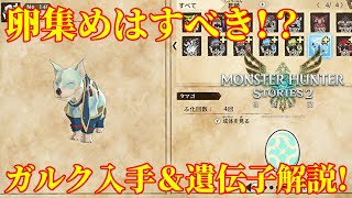 【MHS2】新オトモン追加！ガルク性能・遺伝子・入手方法解説！