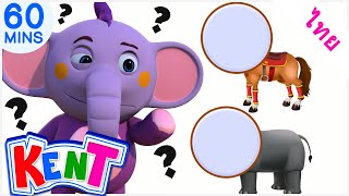 Kent The Elephant Thai | Match The Face - ตรงกับใบหน้า | วิดีโอการเรียนรู้สำหรับเด็ก