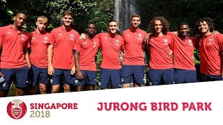 'I'm a bird catcher!' | The boys visit Jurong Bird Park | #AFCTour2018