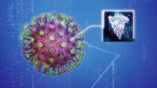 Explainer: How the AstraZeneca-Oxford COVID vaccine works