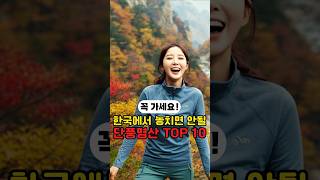 🍁등산 마니아들이 꼽은 한국 최고의 단풍 명산 TOP 10