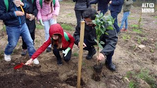 Crianças plantaram laranjeiras numa ação simbólica | Altominho TV