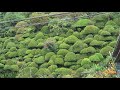 ［旅気分］海界の村を歩く 瀬戸内海 九島（愛媛県）