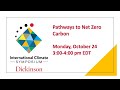 Pathways to Net Zero Carbon