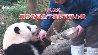 12.29谭爷爷休假回来花花可开心啦，小跑着去追爷爷；但小叶子却忘记爷爷会在前台给他留果果了