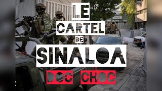 les cartels Mexicains #  cartel de Sinaloa # doc choc