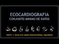 Ecocardiograma: Conjunto minimo de datos (PARTE 1: vista eje largo paraesternal izquierdo)