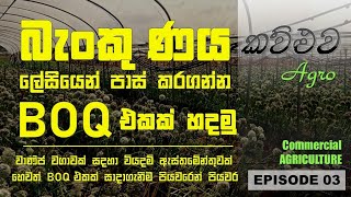 කෘෂිකාර්මික BOQ එකක් (වියදම් ඇස්තමේන්තුවක්) පහසුවෙන් සාදාගමු - Layout of Agriculture BOQ Arrangement