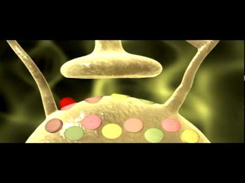 Neuron Synapse Animation