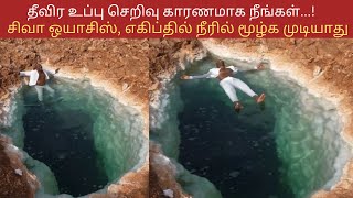 தீவிர உப்பு செறிவு காரணமாக நீங்கள் சிவா ஒயாசிஸ், எகிப்தில் நீரில் வைரல் வீடியோ