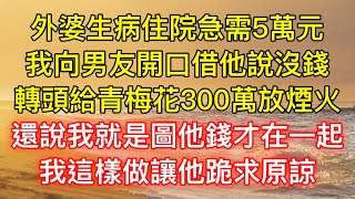 外婆生病住院急需5萬元，我向男友開口借他說沒錢，轉頭給青梅花300萬放煙火，還說我就是圖他錢才在一起，我這樣做讓他跪求原諒