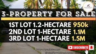 (Vlog#079) 3-property for sale Along the road  best for retirement plan and investment!!!