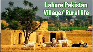 Beautiful village of Lahore with subtitles | Dhair Shahdara Town Lahore Pakistan Village Life