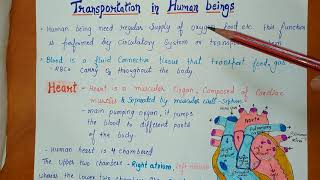 CLASS 10 NOTES || Human heart, Double circulation  || Chapter-6