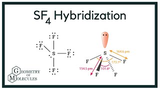 Hybridization of SF4 (Sulfur Tetrafluoride)