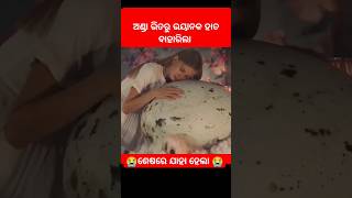 ଅଣ୍ଡା ଭିତରୁ କଣ ବାହାରିଲା#facts#gapa#odiagapa#story#odiastory#stories#moralstories#kahani#shorts#viral