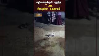 #SNAKE | #SHORTS || கழிவறைக்குள் புகுந்த 7 அடி நீளமுள்ள கருநாகம்