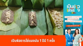 เปิบพิสดารไข่แมงมัน 1 ปีมี 1 ครั้ง | เป็นข่าวเล่าเรื่อง