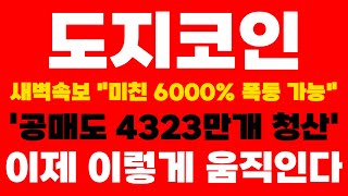 [도지코인 DOGE] 새벽속보 '공매도 4323만개 청산' 이제 이렇게 움직인다