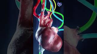 உலக இருதய தினம் தோன்றிய வரலாறு தெரியுமா? | World Heart Day 2023