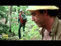 David DeCoteau on RITUALS