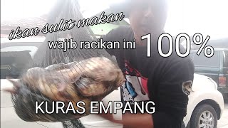 Umpan spesial ikan mas di jamin 100% neter