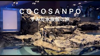 【週末ドライブ】すみだ水族館で小笠原の海を堪能の旅