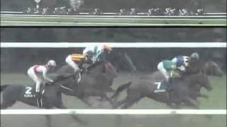 ブラボーデイジー 福島牝馬ステークス 2009