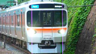 315系 警笛あり JR東海 中央本線 金山駅到着