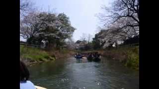 2013「多布施川お花見カヌーツアー」　センスオブワンダー自然学校