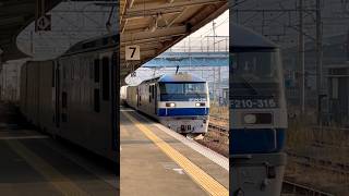 57レ　名古屋→福岡　EF210-316号機牽引貨物列車　福山通運レールエクスプレス　新山口駅9時14分定通　#貨物列車　#jr貨物　#ef210 #岡山　#鉄道　#列車 #train