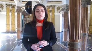 სტუ-ს იმიტირებული პროცესი სისხლის სამართალში