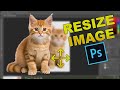 How to Resize Images in Photoshop Without Loosing the Quality 2024