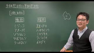 中2理科 生物 導入② 多細胞生物と単細胞生物 微生物