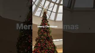 We Wish You A Merry Christmas—-Markville Mall