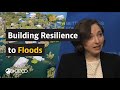 OECD on climate change adaptation and resilience to flood risks