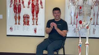 Self-massage the Hamstrings with a Lacrosse Ball