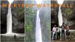 Insider Tips: How to Reach Milkybar Waterfall & Plus Valley Trek