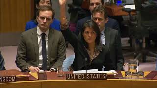 Security Council vote on draft resolution on Jerusalem