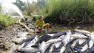 Best fishing skills - The girl used the pump to suck all the water in the lake, Catch a lot fish