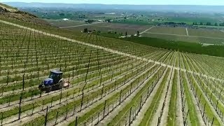 Machinery Minute: T4 F/V Vineyard and Orchard Tractors