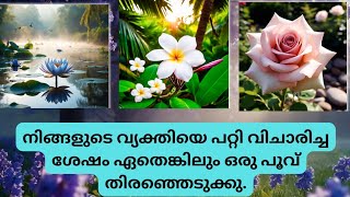 എന്തായിരിക്കും ആ വ്യക്തിയേ കുറിച്ച് അറിയാനുള്ളത്?🌺🌿🥰